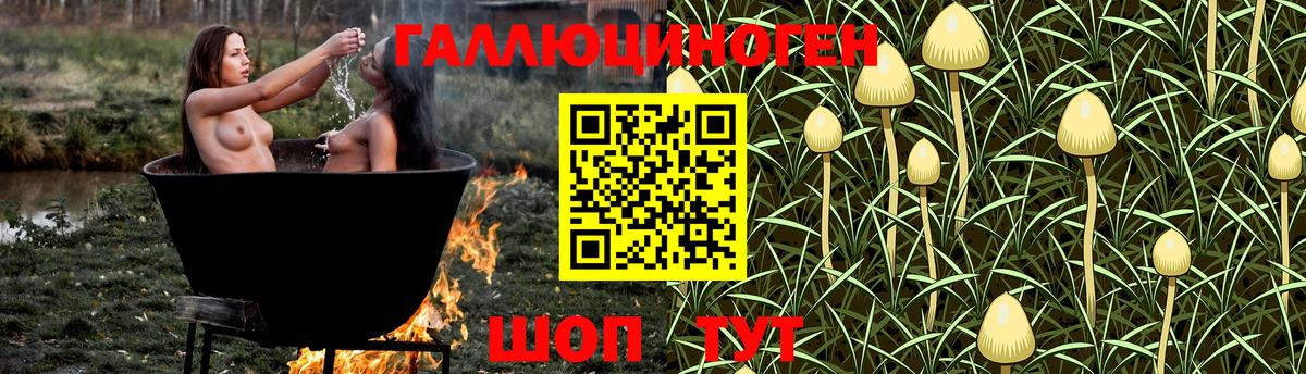 Белебей  Псилоцибиновые грибы GOLDEN TEACHER  Вход с VPN 
